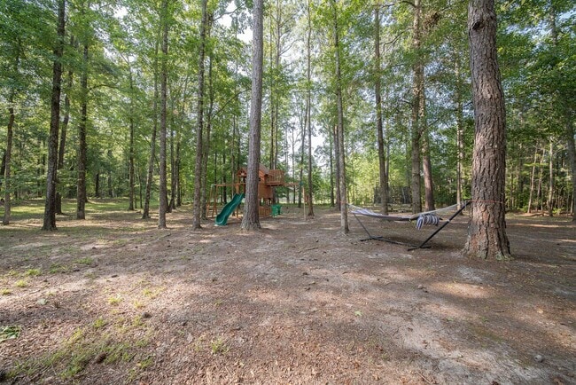 Building Photo - 4 bedroom/3 bath Midland, GA