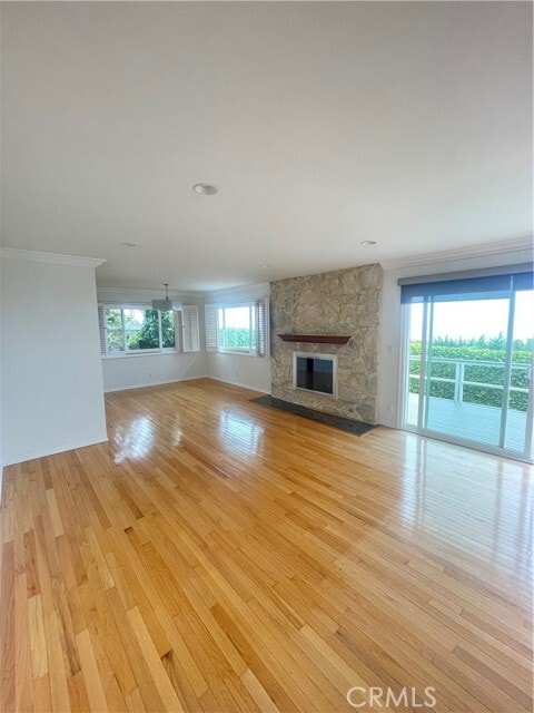 Building Photo - 28019 Braidwood Dr
