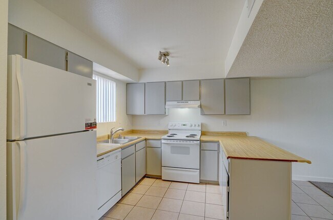 Building Photo - 3536 Rio Robles Dr