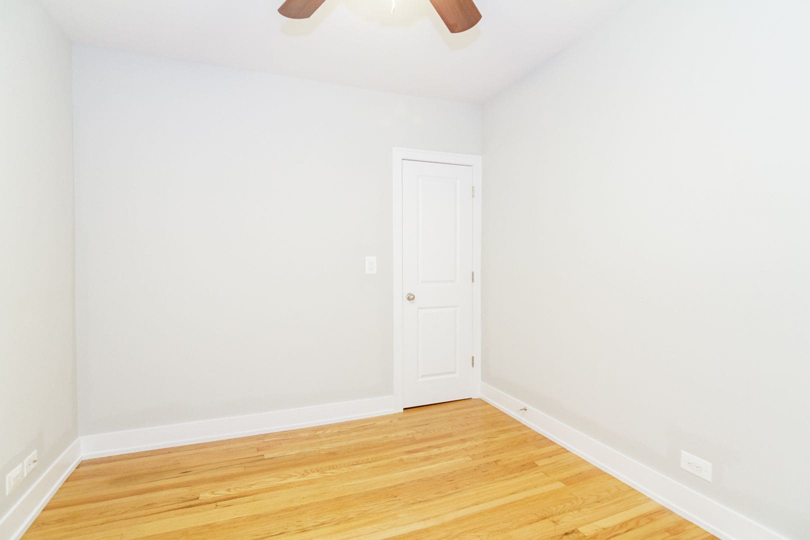 Building Photo - 538 W Cornelia Ave