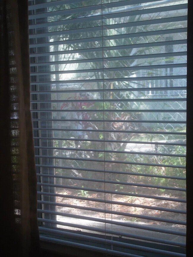 View from Smaller Bedroom - 415 N Halifax Ave