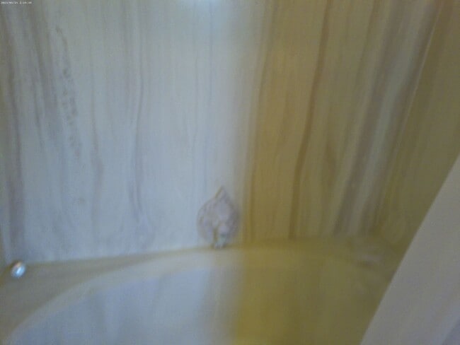 Building Photo - Entertainers Delight Beautiful Pool home Available May 12 to Sept 15, 2026