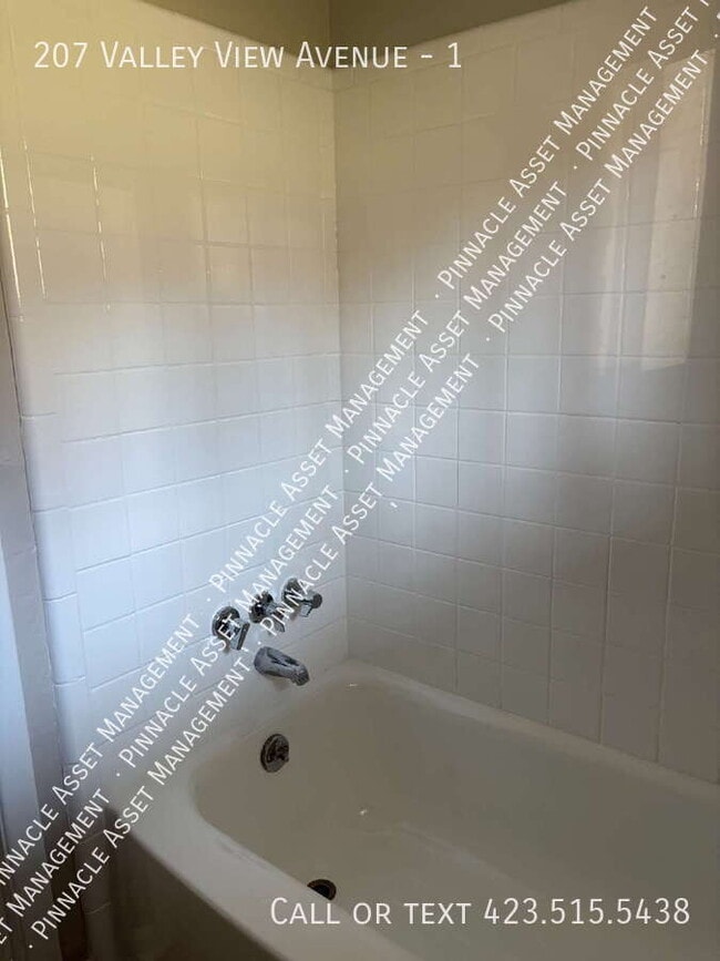 Building Photo - 207 Valley View Ave