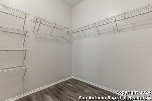 Building Photo - 24926 Terlingua Bend