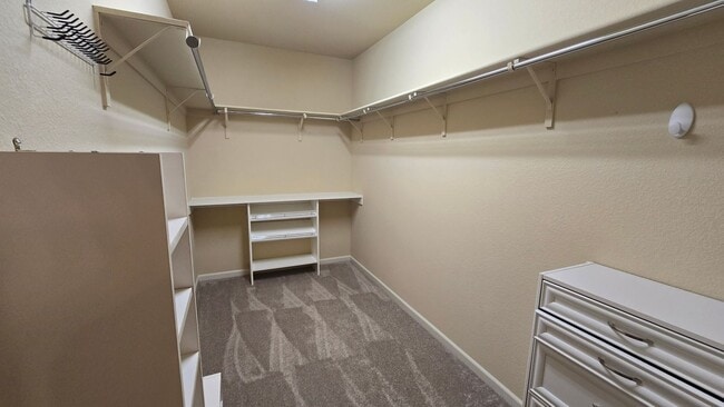 Building Photo - Single Story Del Webb Home!