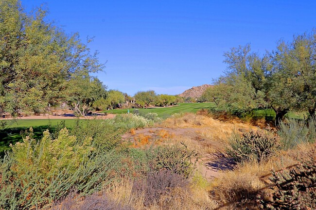 Building Photo - 6894 E Thirsty Cactus Ln