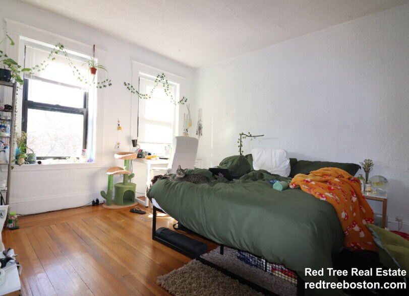 Building Photo - 405 Huntington Ave