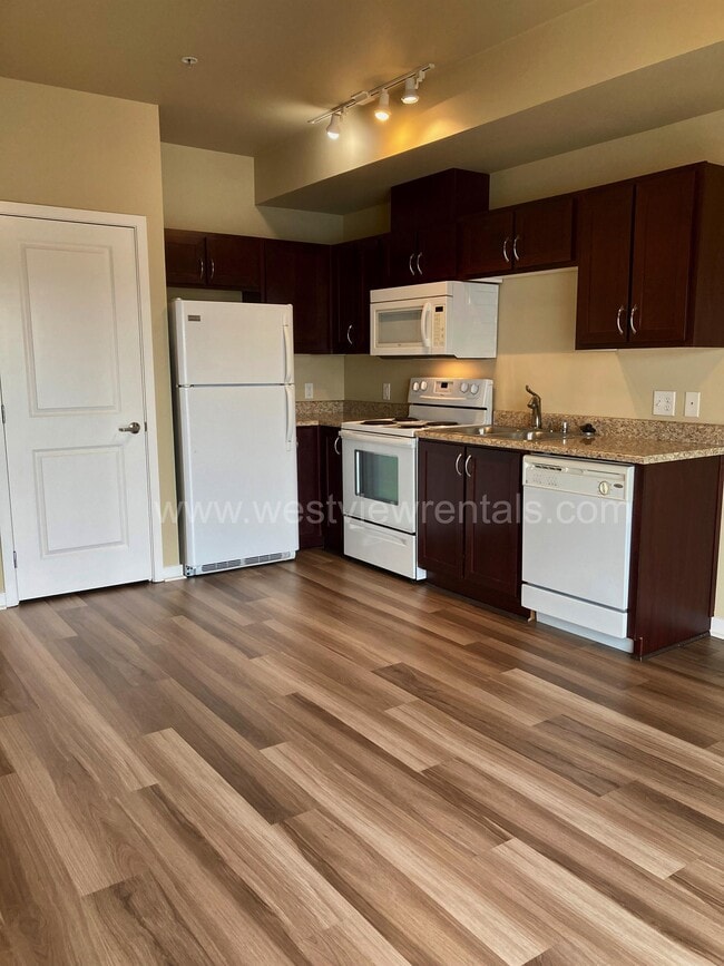 Interior Photo - Shearwater