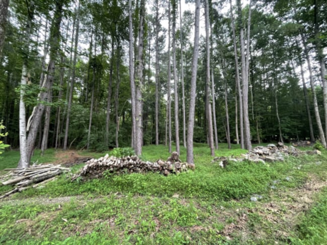 Building Photo - 1029 Laurel Grove Ct