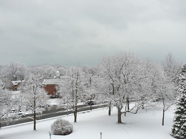 View from Living Room - the Lake is in the Distance (about a 20 minute walk) and visible from apt. - 20333 Detroit Rd