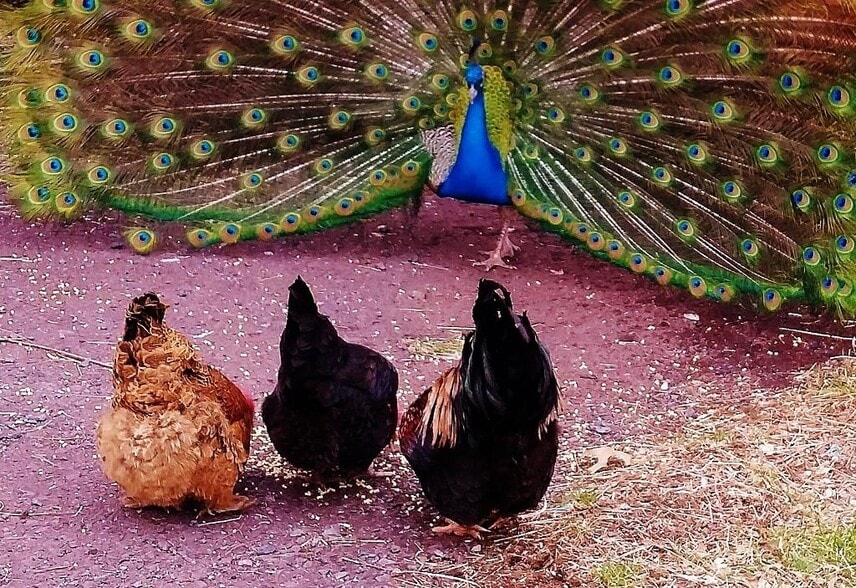 Building Photo - 1310 Hollow Rd