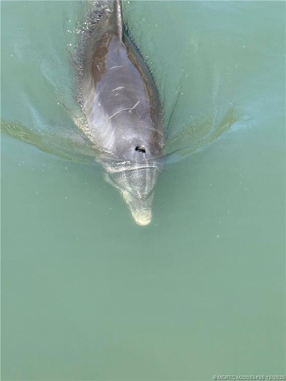 Building Photo - 513 Gunwale Ln