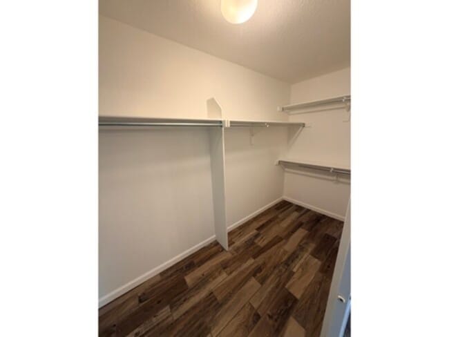 Building Photo - 10552 Vaughn Ct
