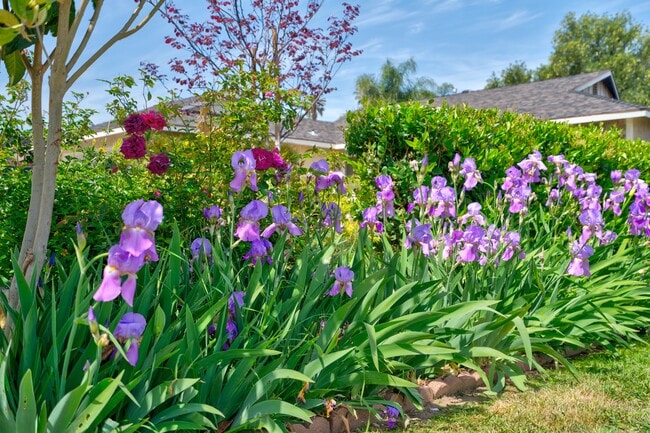 Building Photo - 8311 Raintree Ave