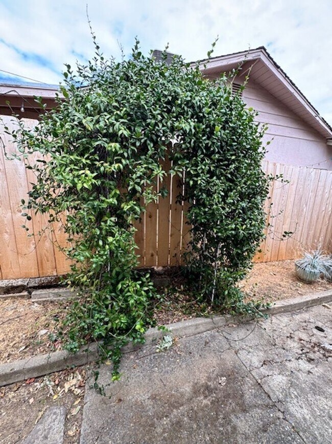 Building Photo - Home in Mary Lake Neighborhood