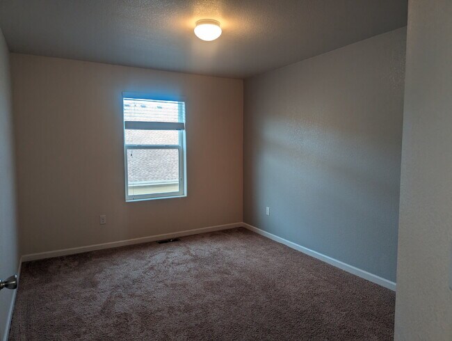 Building Photo - Newer 3bdrm/2 1/2 bath townhome in the heart of Longmont!