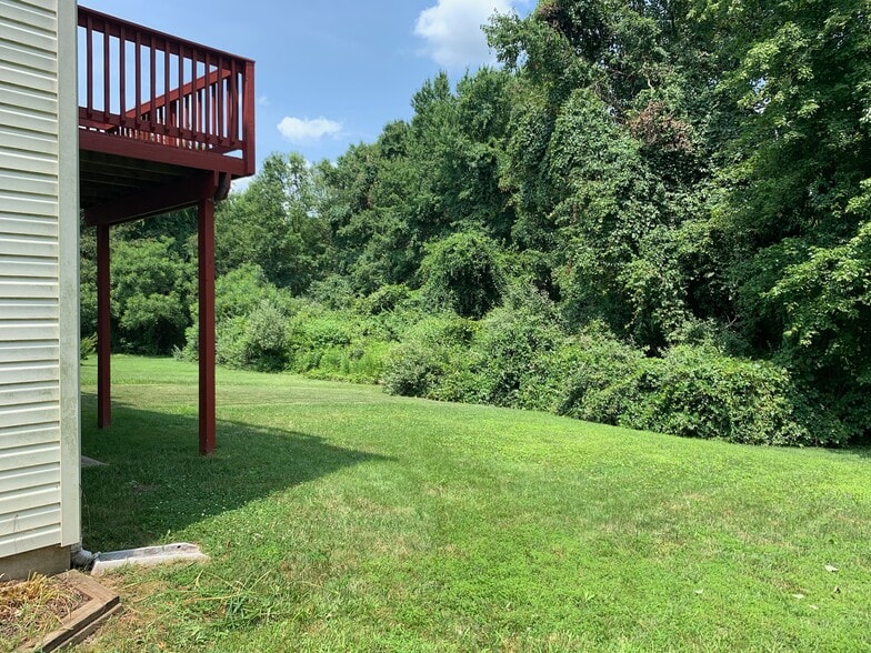 Backyard - 47 Wicklow Rd