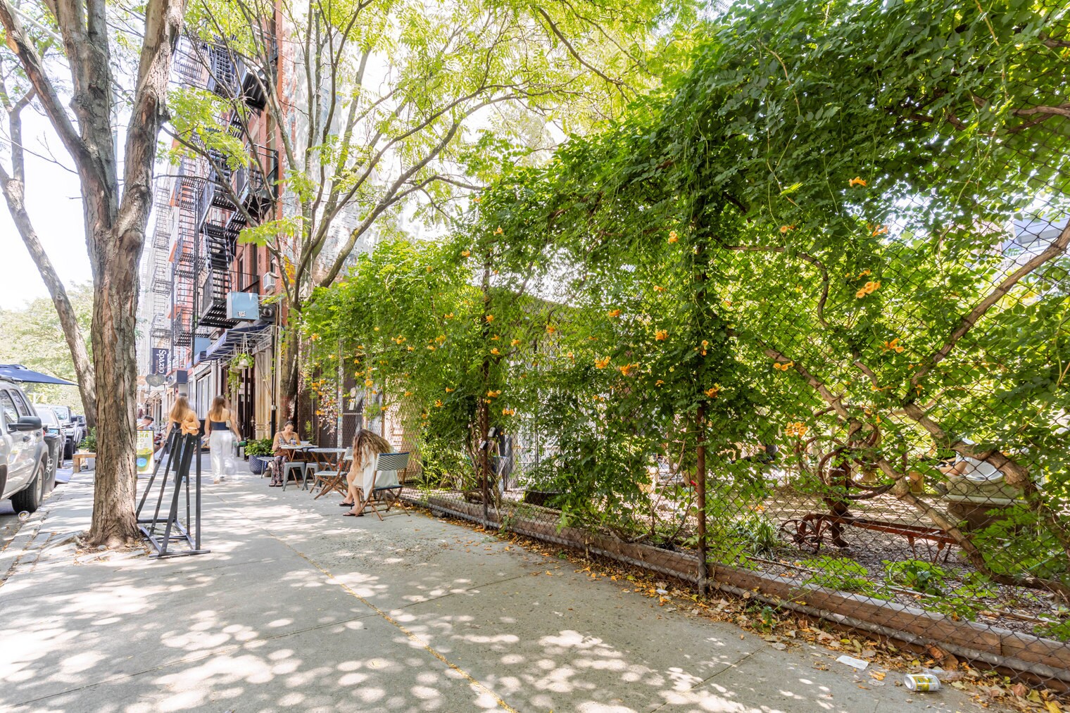 Building Photo - 223 Mott St