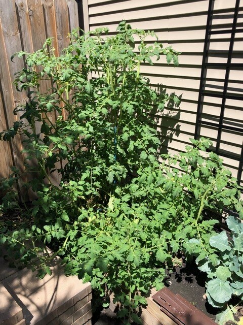 Building Photo - 2126 W Barry Ave