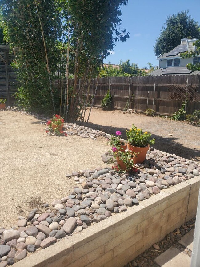 Building Photo - Recently Upgraded and Refreshed House with Pool and Casita