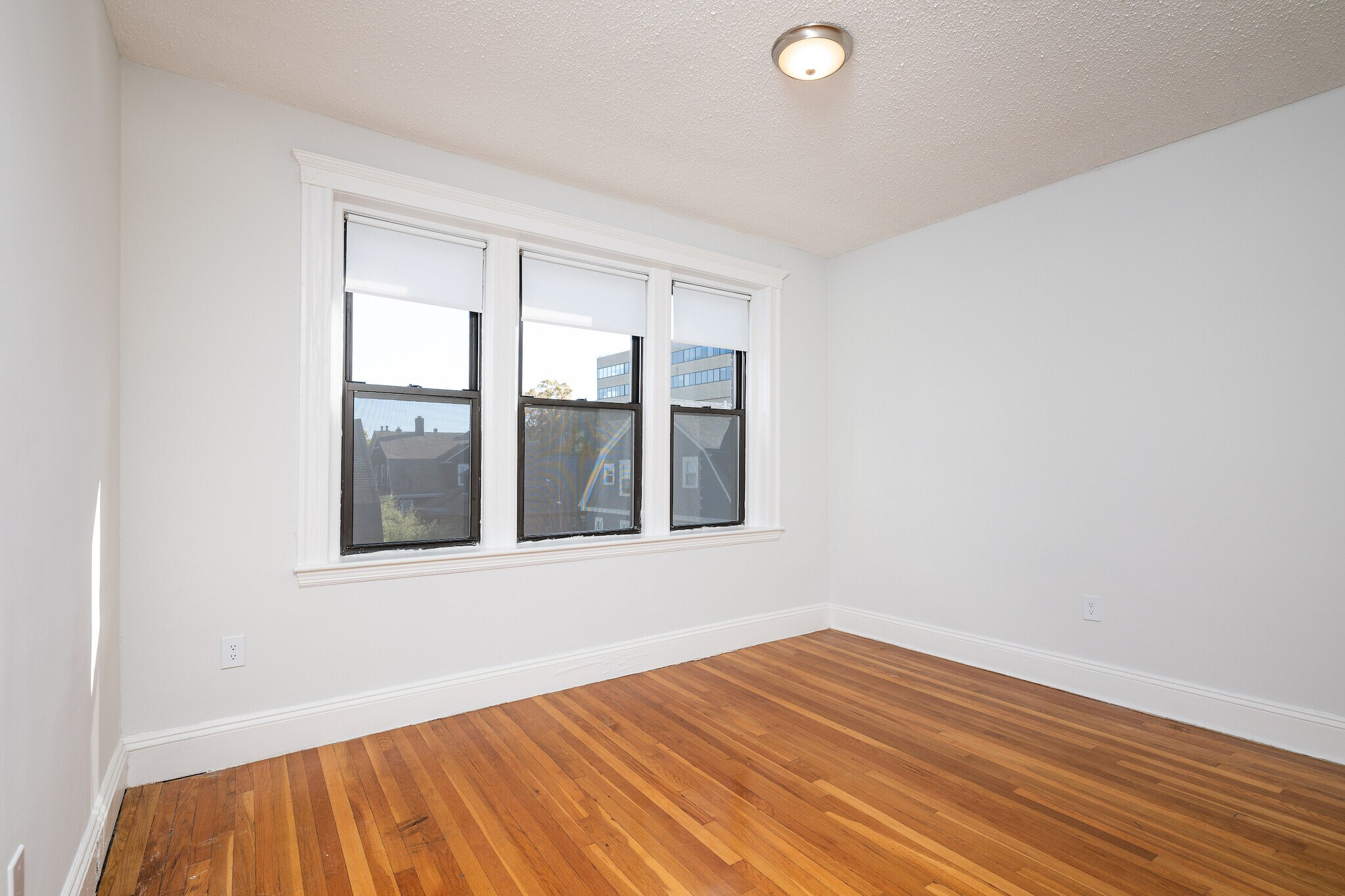 Building Photo - 16 Elko St