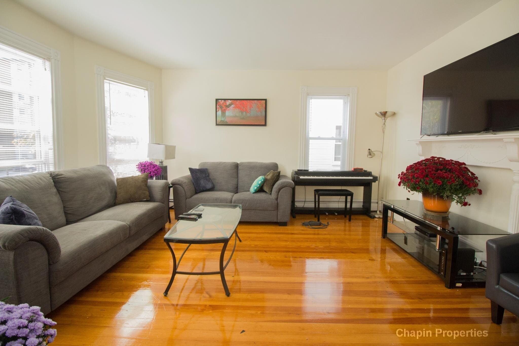 Building Photo - 66 Chestnut St