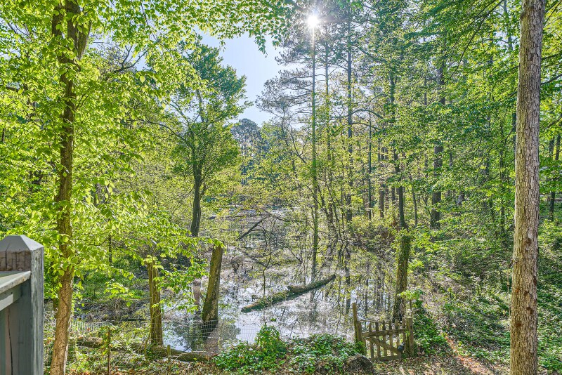 Building Photo - 466 Raven Springs Trail