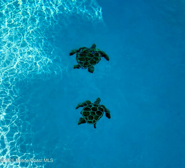 Building Photo - 282 Heritage St SW