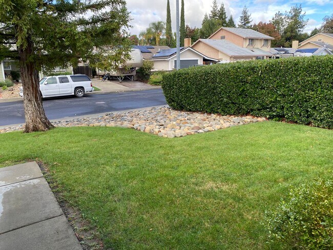 Building Photo - 369 Limerick Way