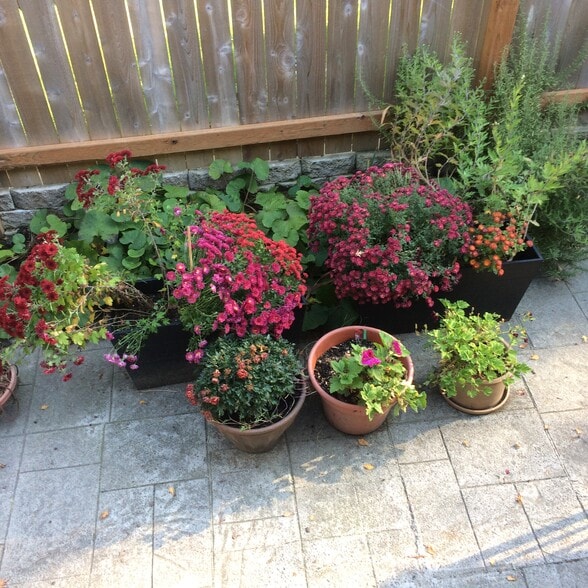 Building Photo - 1002 N 5th St