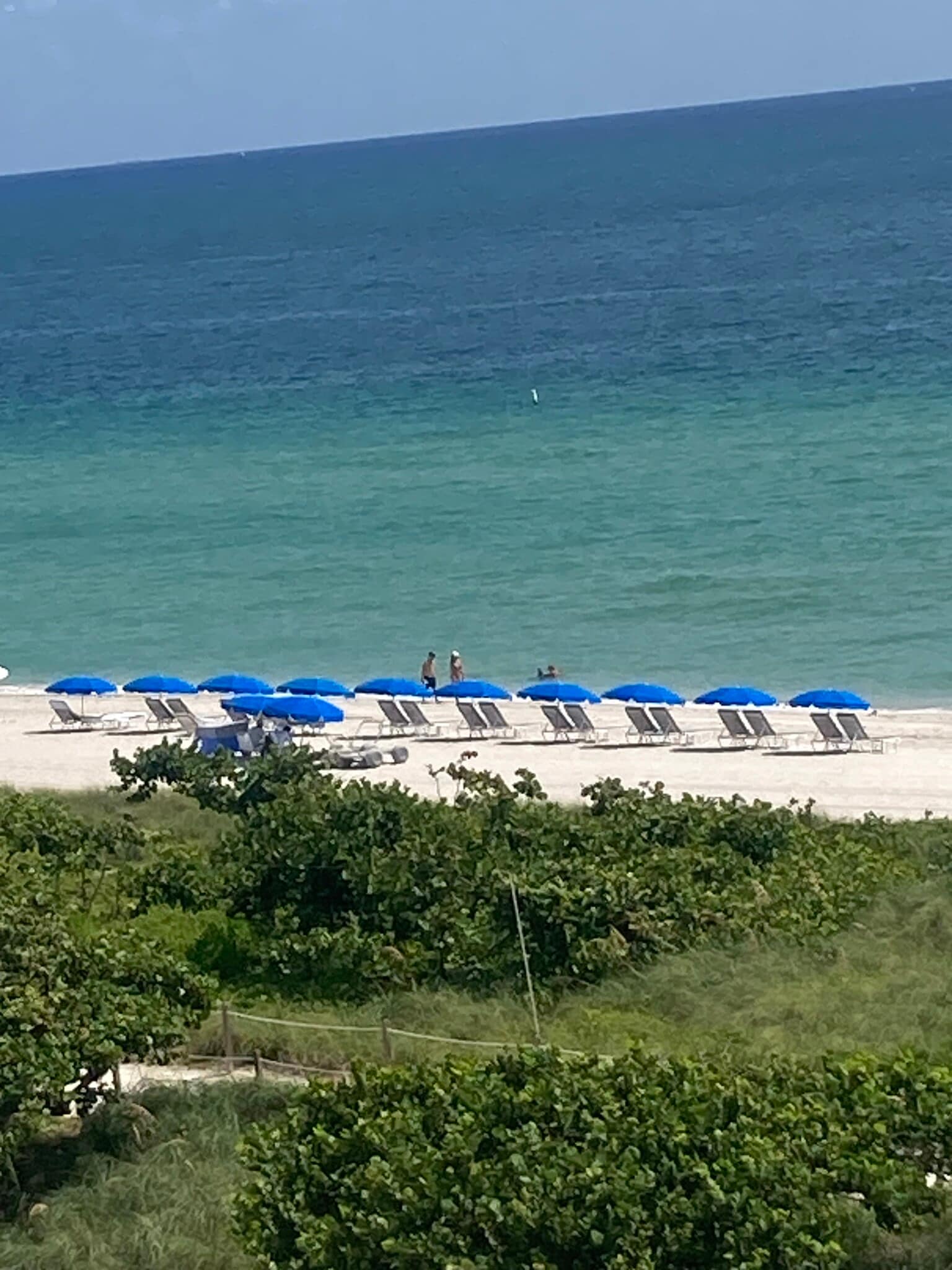 Building Photo - 9225 Collins Ave