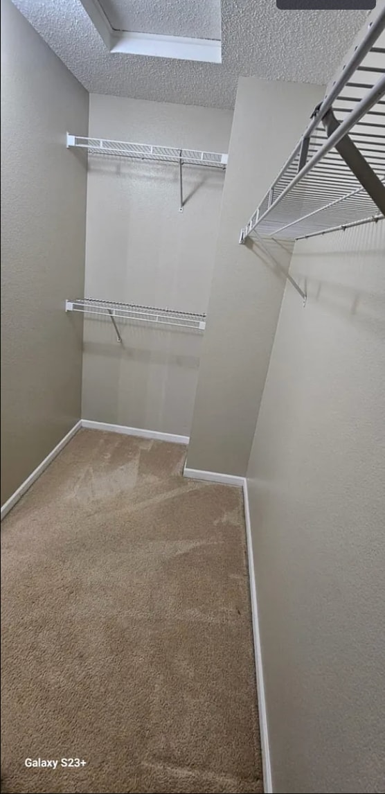 Building Photo - 2743 Brewster Ln
