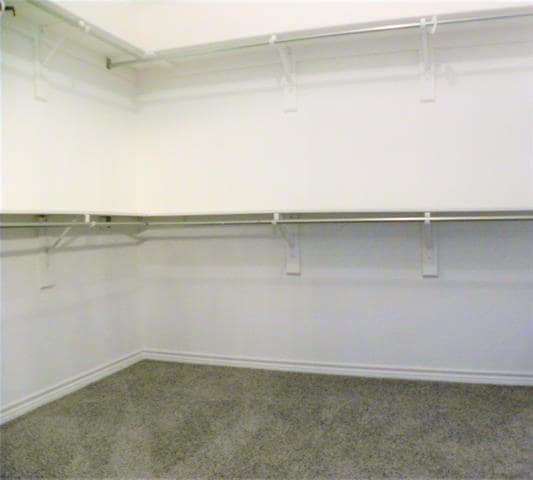 Building Photo - 3132 Kettle River Ct