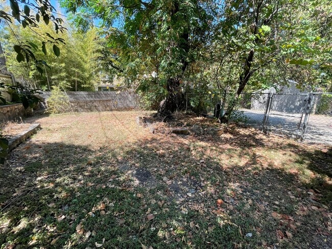 Building Photo - 3bed/1bath House - Two Blocks from Campus