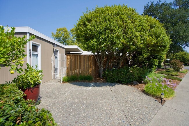 Building Photo - Beautifully Updated Four Bedroom Napa Home