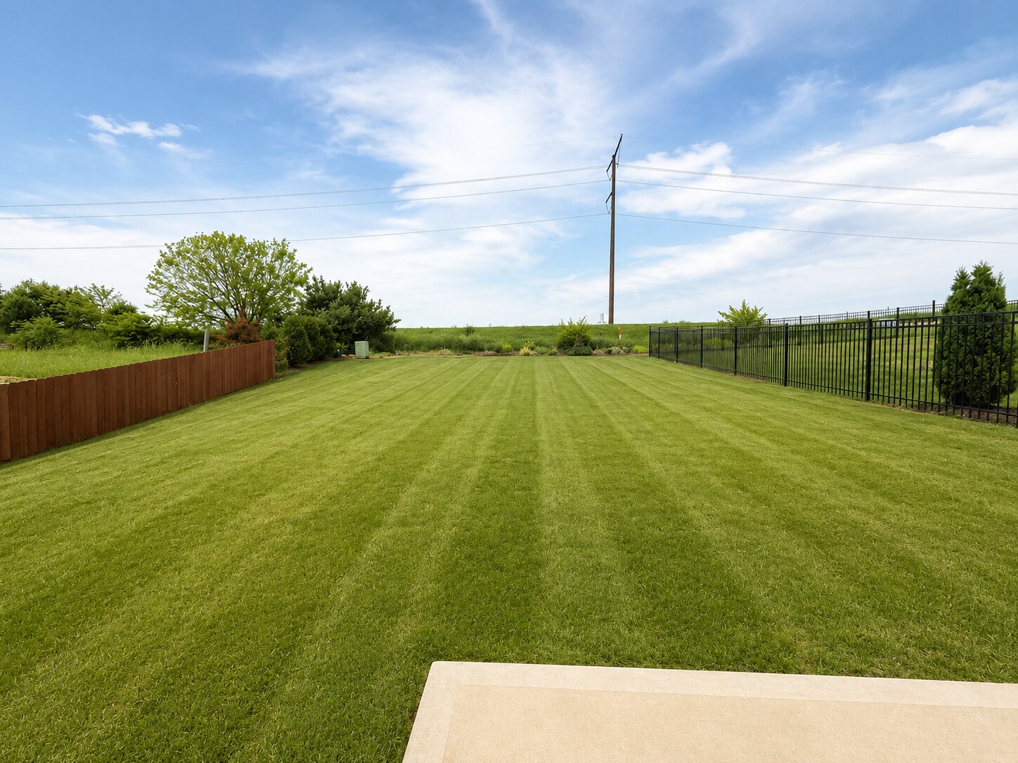 Backyard - 1907 Eggum Rd