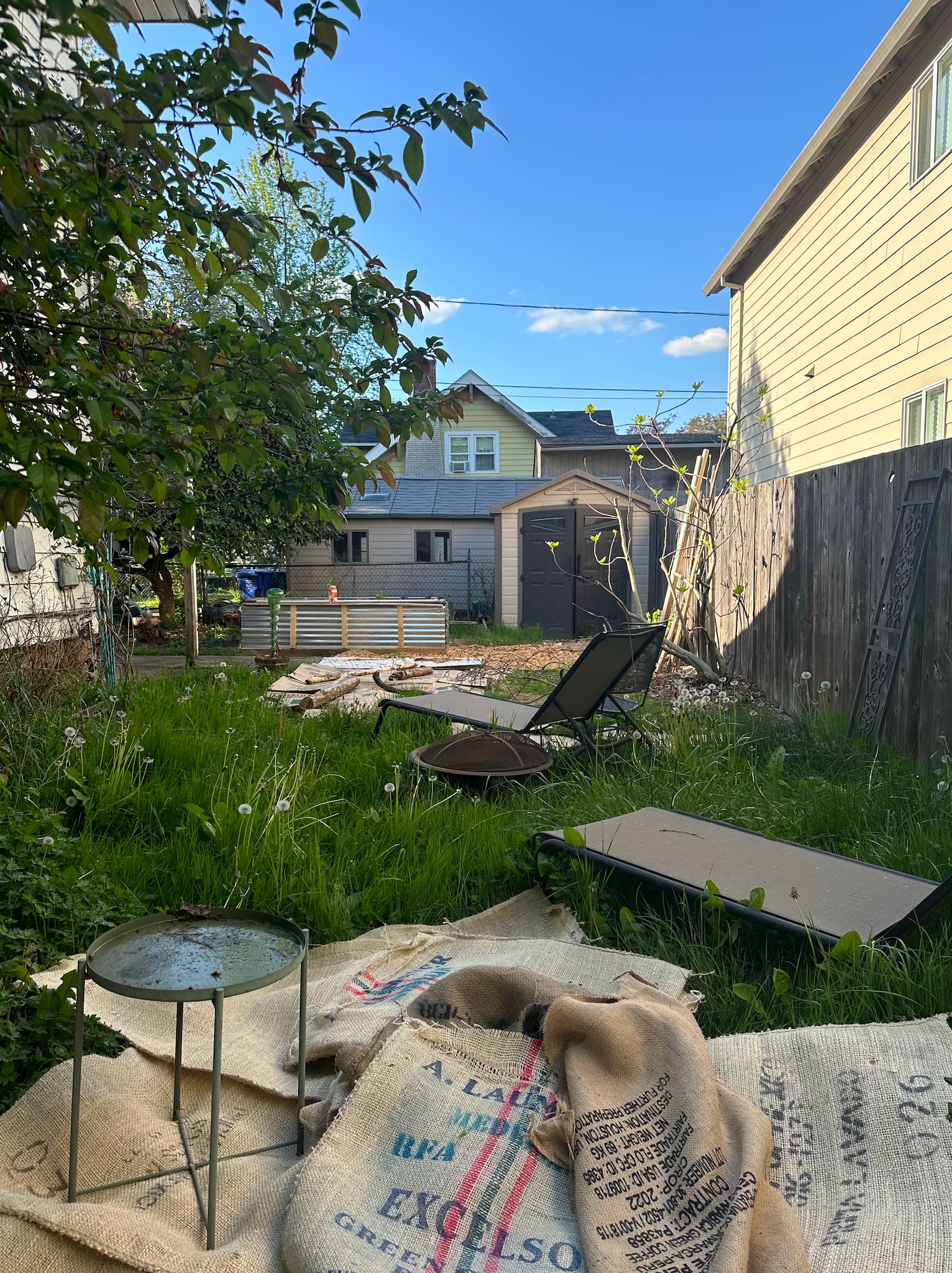 Fenced Backyard - 8607 SE Morrison St