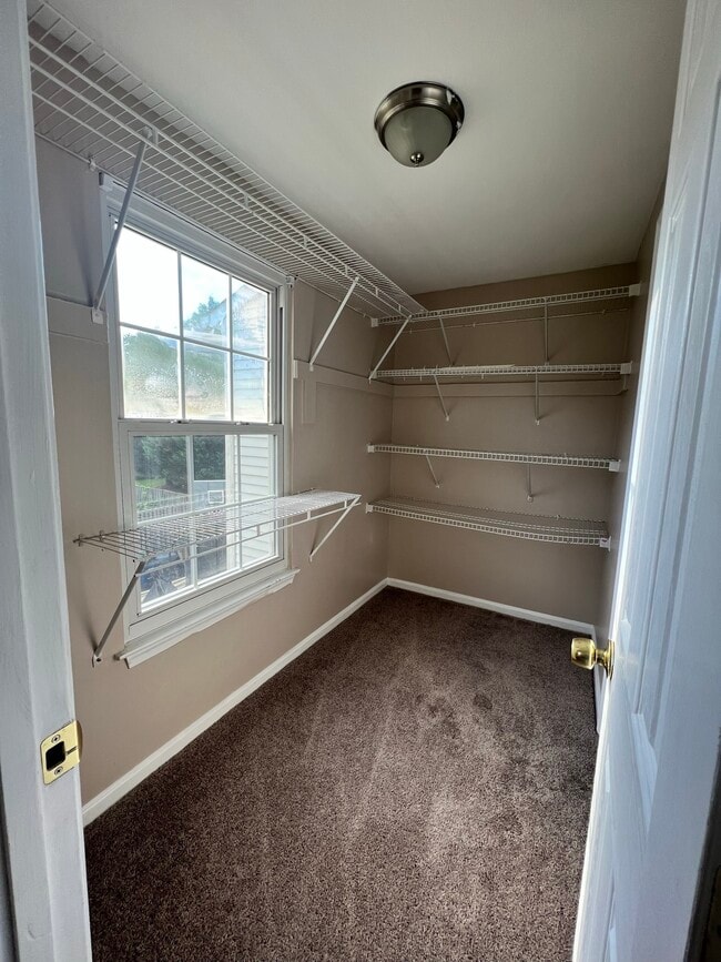 Building Photo - 3741 Stepping Stone Ln