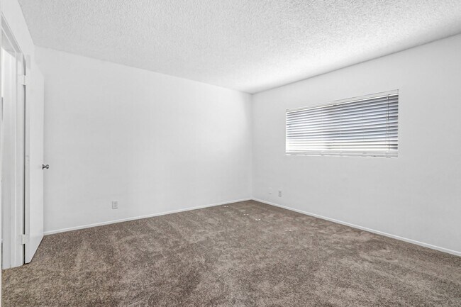 Building Photo - 3221 Triumph Ln