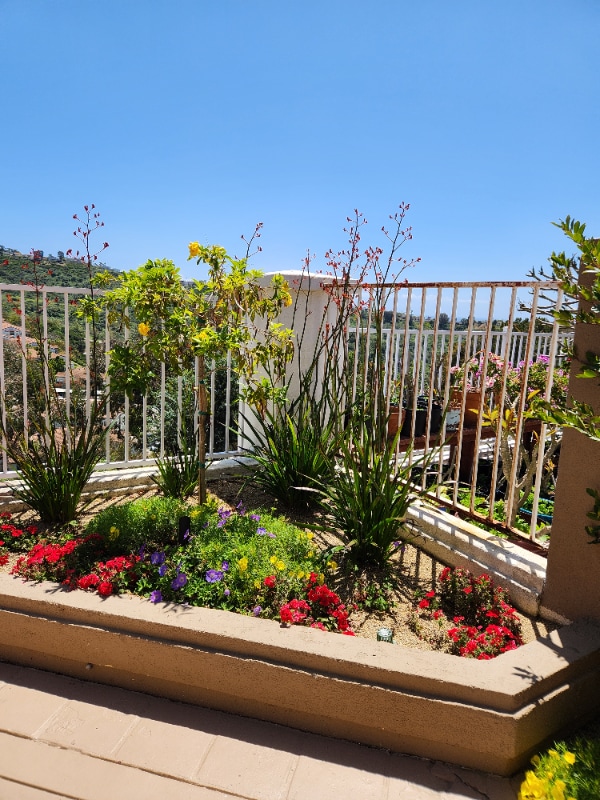 Building Photo - 1509 Avenida De Nogales