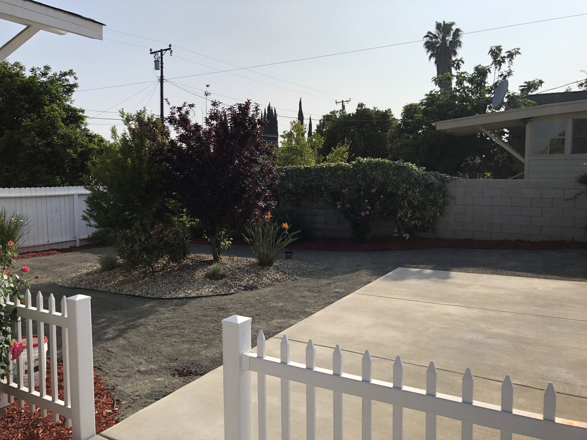 Fenced in Yard - 1820 E Woodbury Rd.