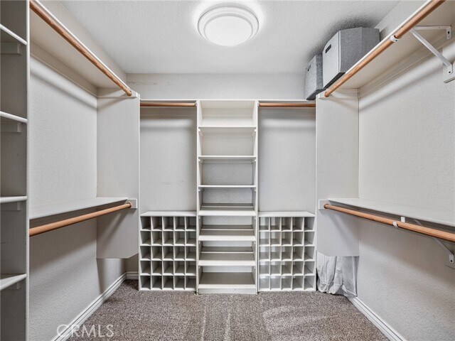 Building Photo - 6232 Coriander Dr