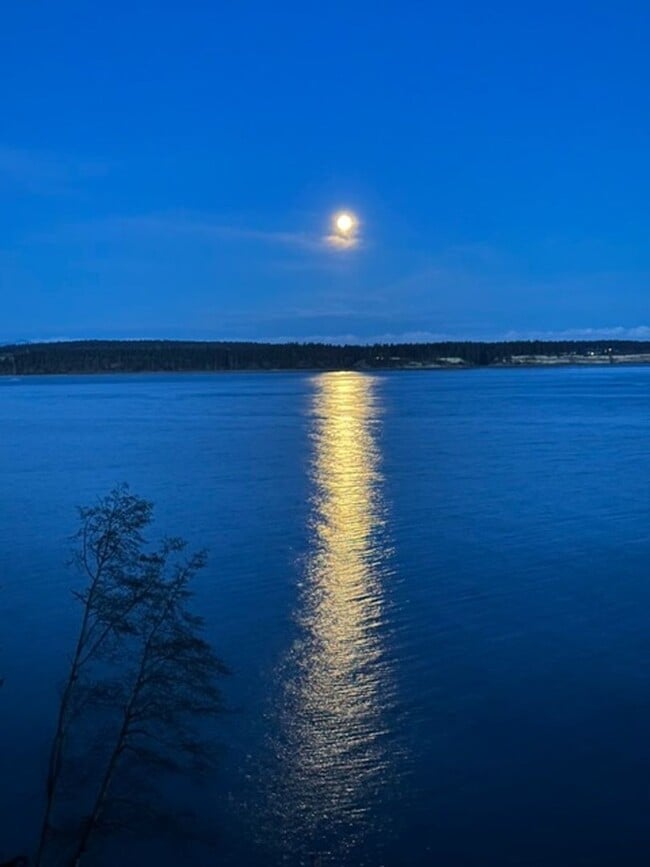 Building Photo - 392 Buck Loop Rd