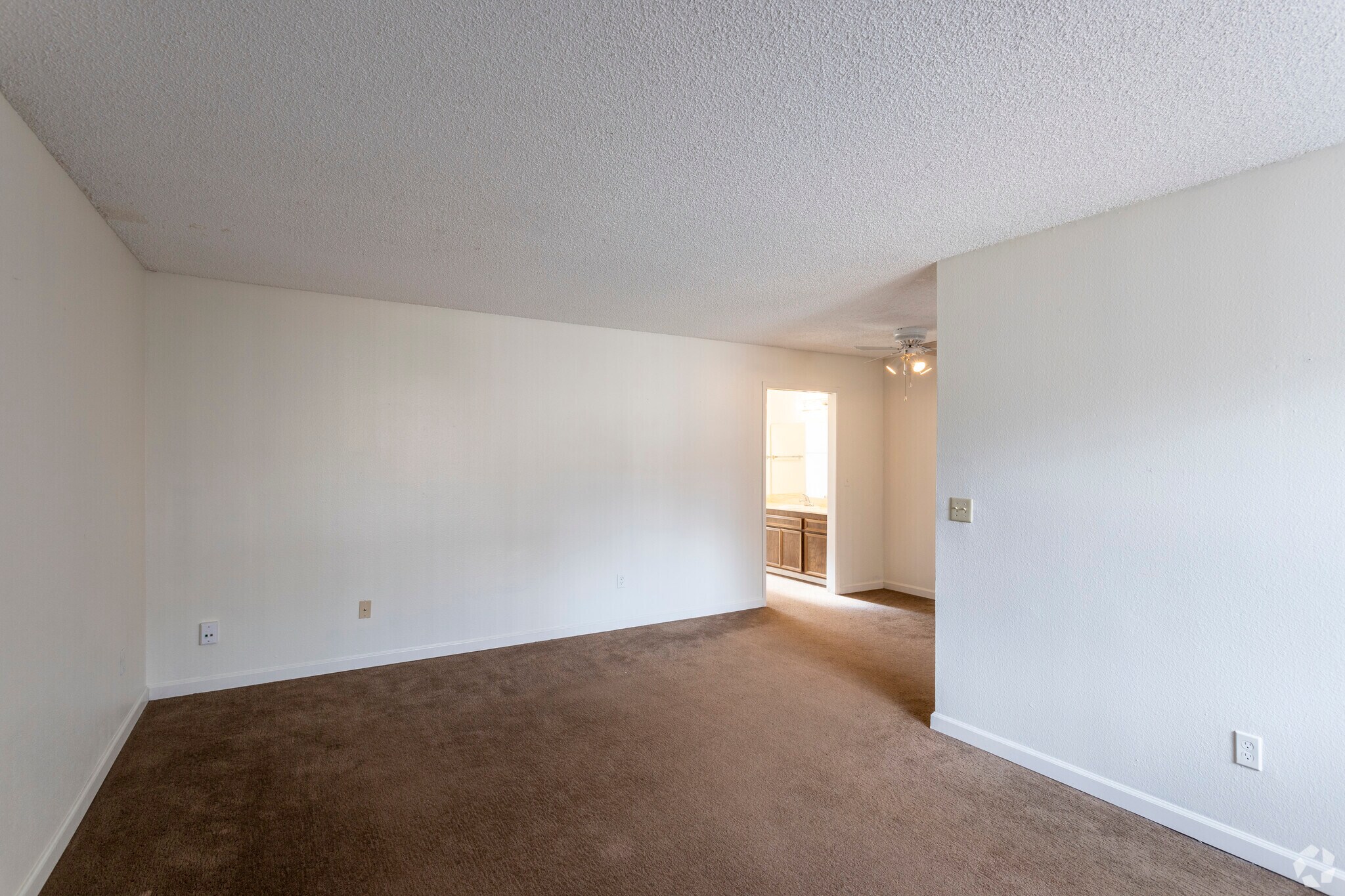 1 BR, 1 BA - 615 SF - Ashwood Apartments M