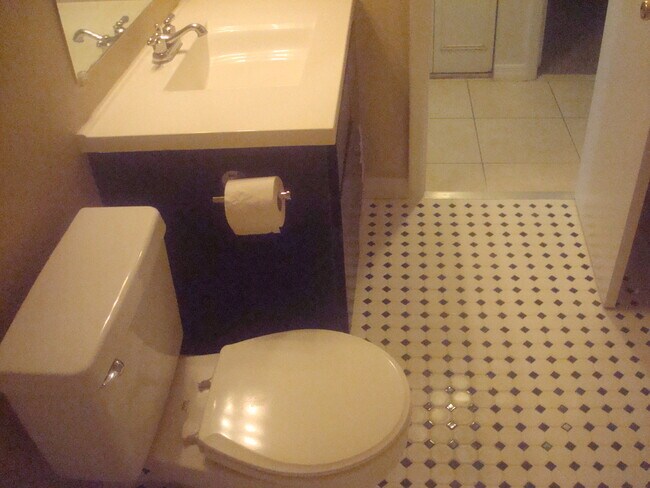 Bathroom - 415 N Halifax Ave