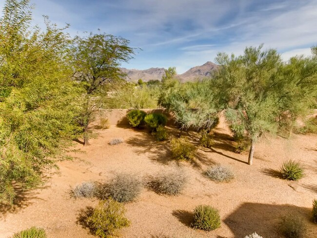 Patio view desert landscape - 19475 N Grayhawk Dr