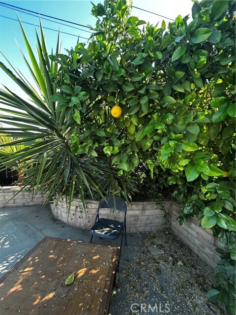 Building Photo - 717 Serpentine Dr