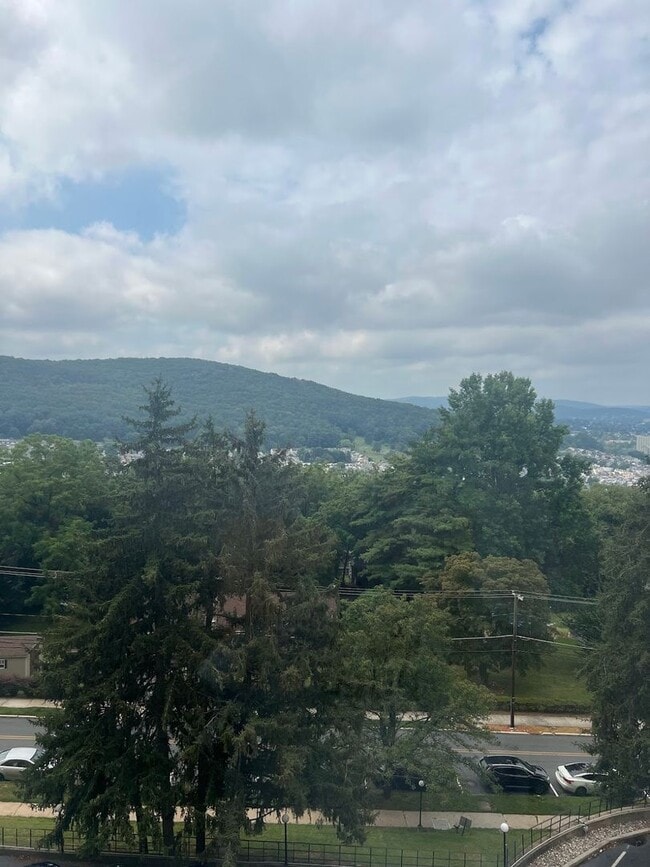 Building Photo - Spacious One Bedroom Apartment- City views!