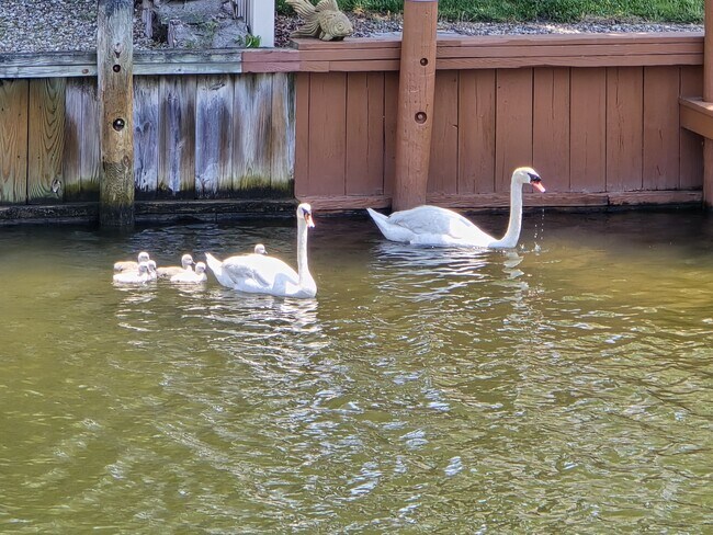 Building Photo - 26 Compass Rd