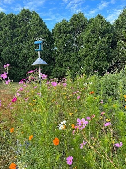 Building Photo - 14 Pocahontas Dr